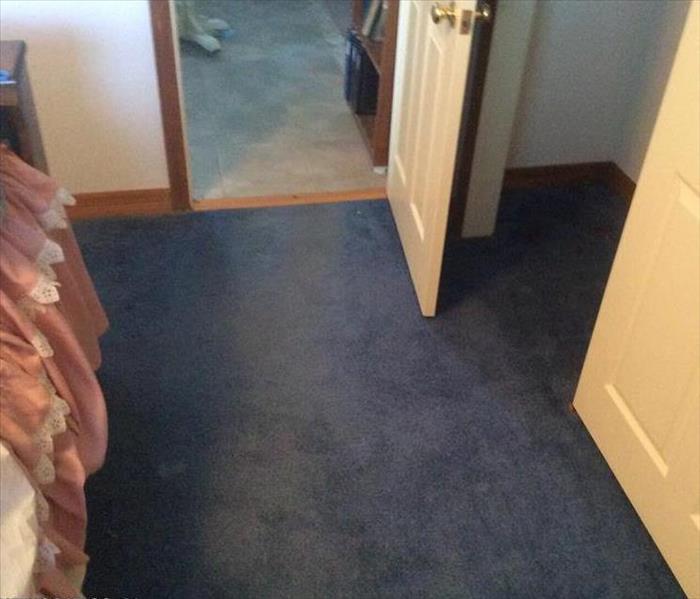 Blue carpeting with two white doors and a pink bed skirt