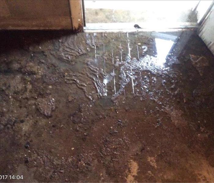 Sewer water on basement floor by door