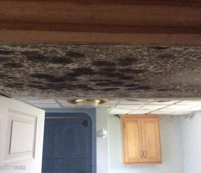 Black mold on ceiling