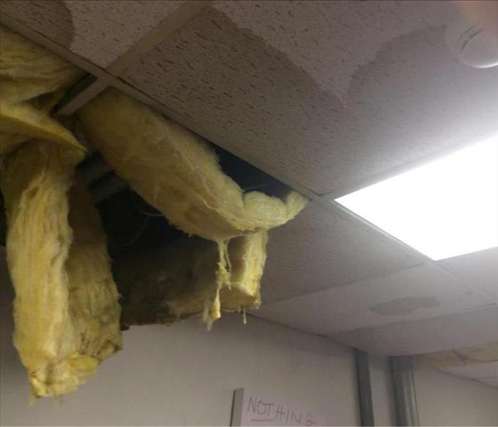 Wet brown marks on white ceiling tiles with yellow insulation hanging down